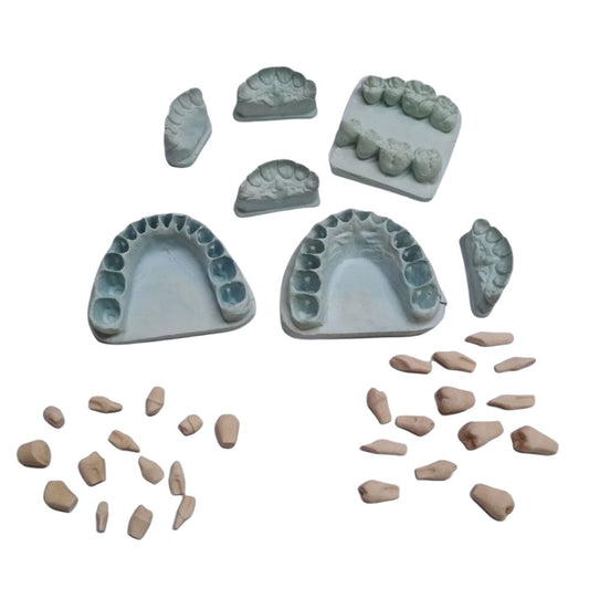 Kit Modelos Alveolares. El Kit Modelos Alveolares, es un modelo alveolar o modelo geller, es una técnica innovadora q...