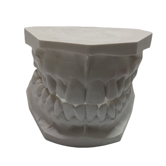 Modelo Pkt Con Apiñamiento. Modelo Pkt Con Apiñamiento Materiales de estudio. Disponible en ForDental.