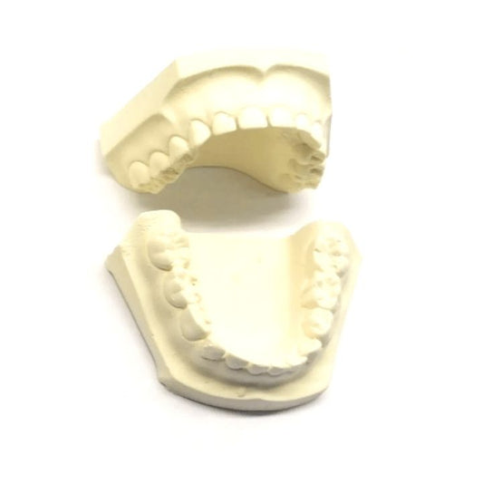 Modelo en Yeso Pkt Dentado. Modelos en Yeso Pkt Materiales de estudio. Disponible en ForDental.