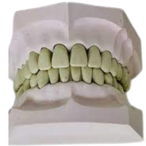 Modelos de yeso Ivorina. Modelo Ivorina Materiales de estudio en mecanica dental, Los dientes poseen la misma morfolo...