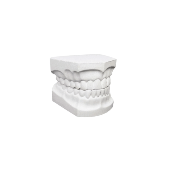 MODELO PKT DENTADO