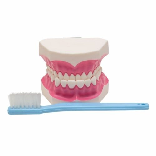 MacromodeloPlastico.jpg Macromodelo Plastico